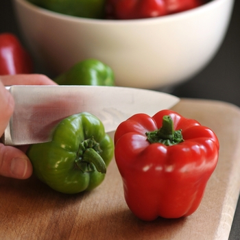 Sweet Pepper - Red Bell Pepper Sweet Pepper - Red Bell Pepper