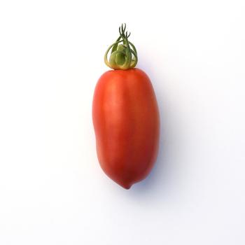 San Marzano - Tomato San Marzano - Tomato