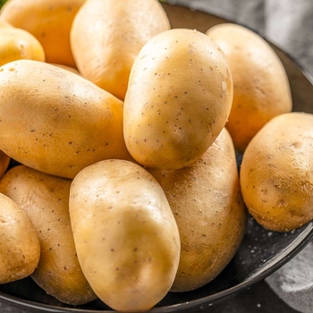 Potatoes - Yukon Gold Potatoes Potatoes - Yukon Gold Potatoes