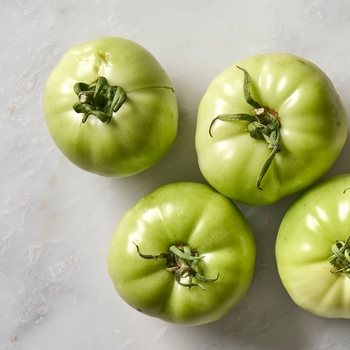Tomatoes - Large Green Tomatoes Tomatoes - Large Green Tomatoes