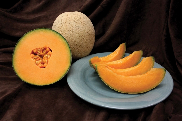 Cantaloupe - Cucumis melo from Delukes Gardencenter