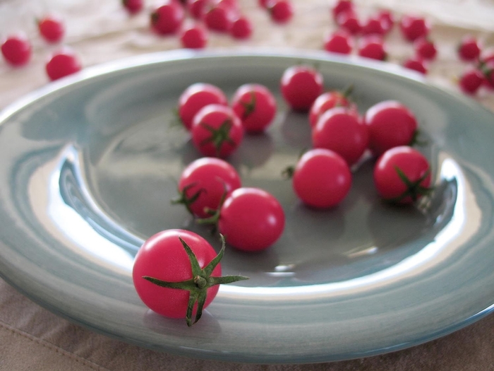 Cherry Tomato - Sweet Treats from Delukes Gardencenter