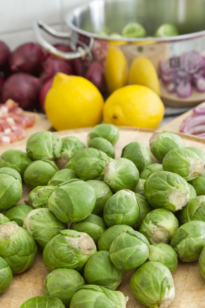 Brussels Sprouts - Long Island from Delukes Gardencenter