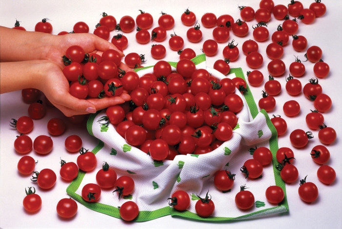Cherry Tomato - Sweet Million from Delukes Gardencenter