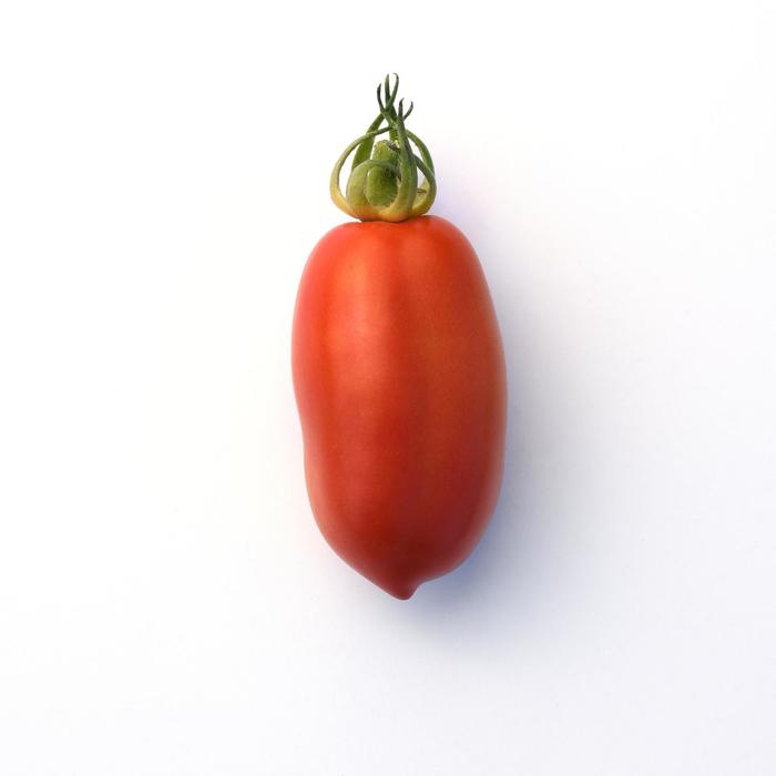 Tomato - San Marzano from Delukes Gardencenter