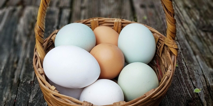 Farm Fresh Eggs - Refrigerated from Delukes Gardencenter