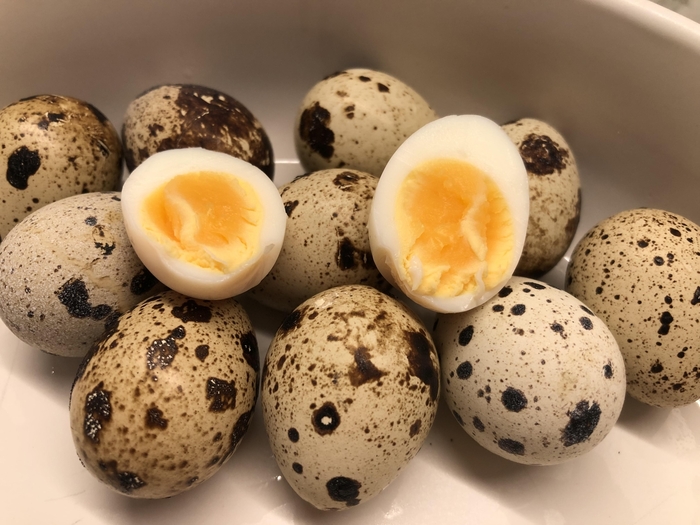 Quail Eggs - Refrigerated or Unfrigerated from Delukes Gardencenter