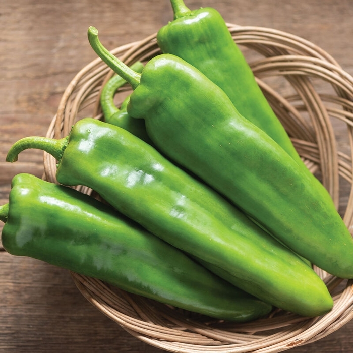 Long Hot Green Pepper - Hot Pepper from Delukes Gardencenter