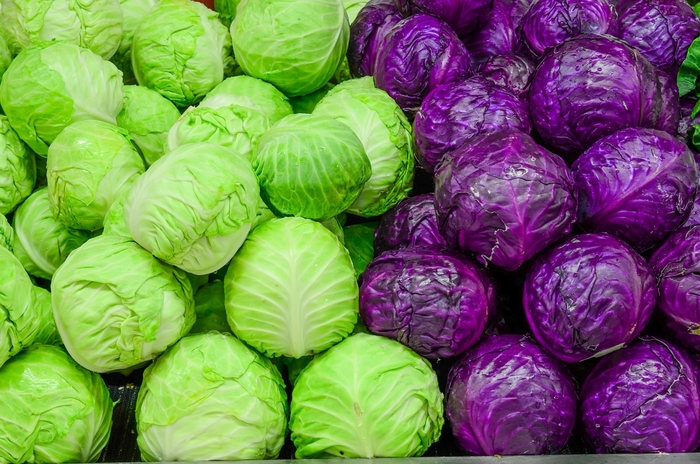 Cabbage - Various Varieties from Delukes Gardencenter
