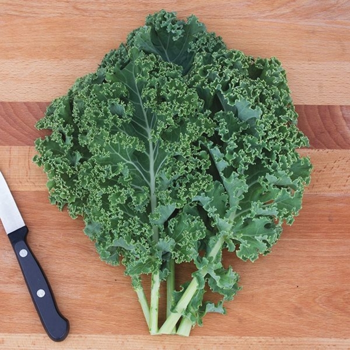 Kale - Various Varieties from Delukes Gardencenter