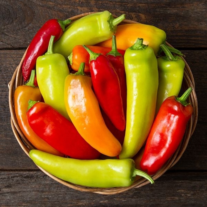 Hot Hungarian Wax Pepper - Hot Pepper from Delukes Gardencenter