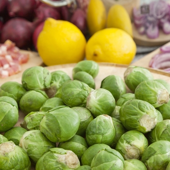 Long Island - Brussels Sprouts Long Island - Brussels Sprouts
