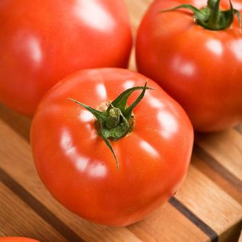 Celebrity - Tomato Celebrity - Tomato