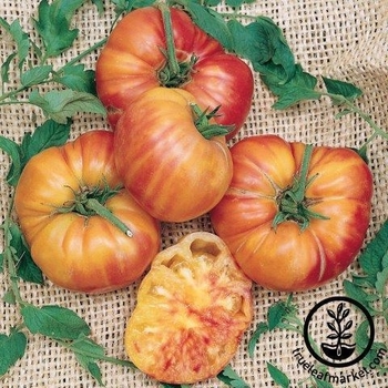 Heirloom Rainbow - Tomato Heirloom Rainbow - Tomato