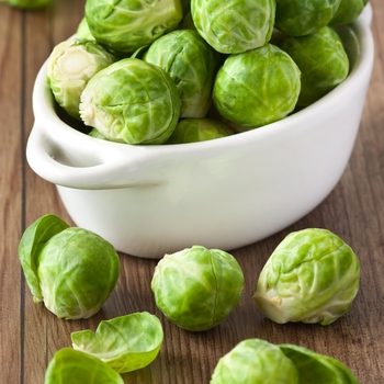 Various Varieties - Brussels Sprouts