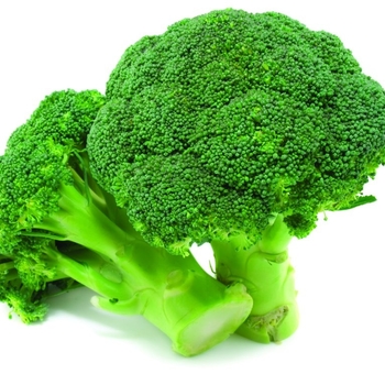 Various Varieties - Broccoli