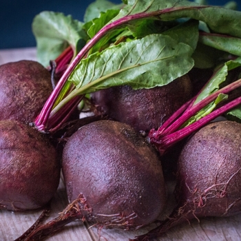Various Varieties - Beets