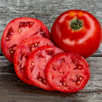 1 GAL - BIG BEEF TOMATO